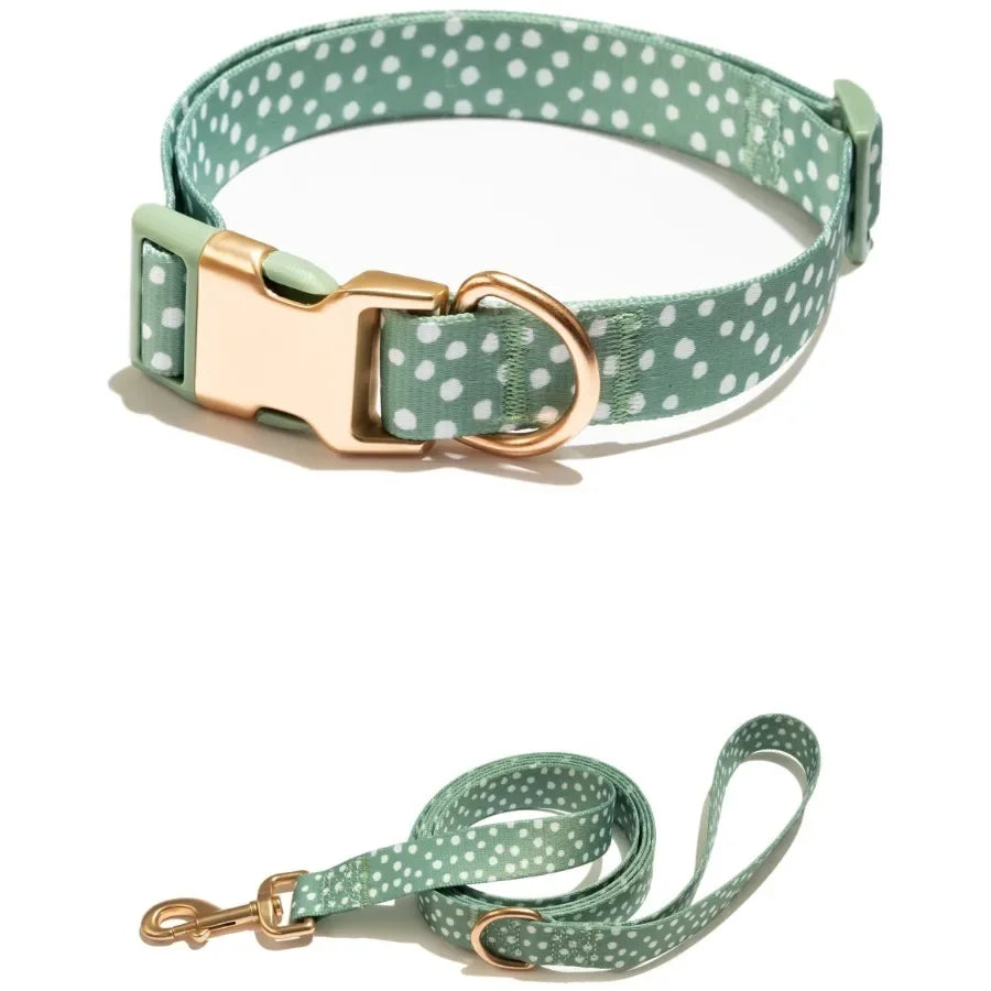 Polka Dot Print Fashion Dog Collar with Metal Buckle and 6ft leash Teal Green Small