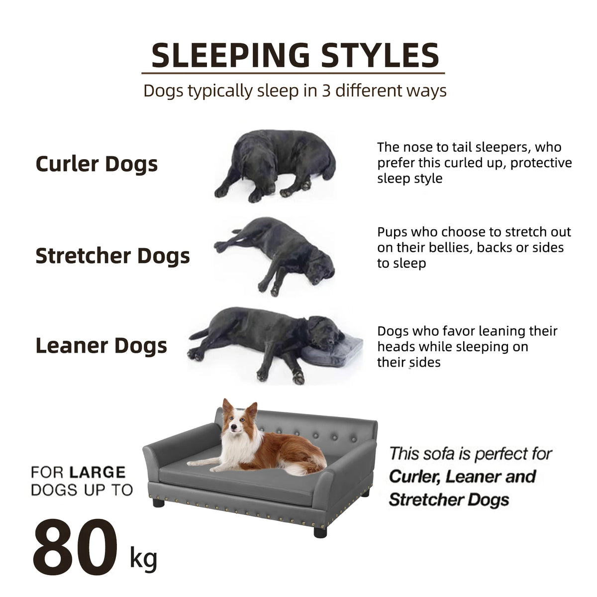 BINGOPAW Waterproof Dog Sofa Bed With Removable Cushion