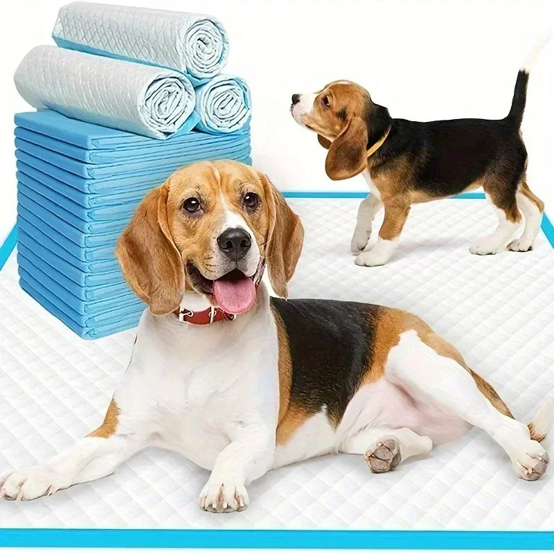 Super Absorbent Odor Control Disposable Dog Diapers And Pads