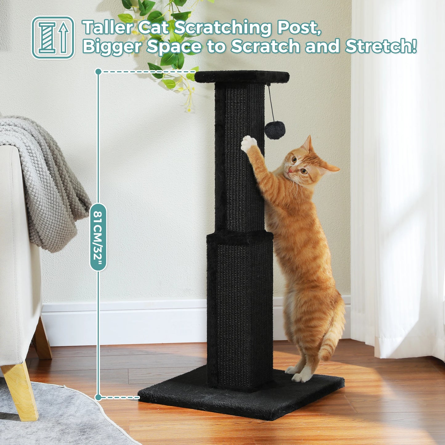 PAWZ Road Cat Scratching Post For Indoor Cats With Sisal