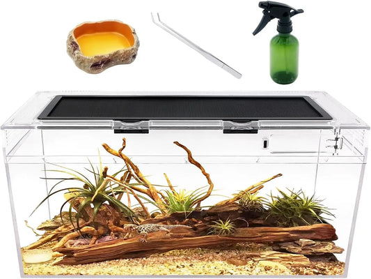 Reptile Terrarium Kit With Accessories For Small Pets