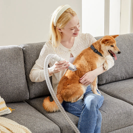 Cordless Low Noise Pet Grooming Vacuum Kit With Suction Modes
