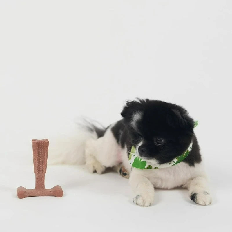 T Bone Dog Chew Toy for Moderate to Aggressive Chewers, 4", Beef Flavor, For Adult Dogs & Teething Puppies Under 30lbs, Non-Splintering