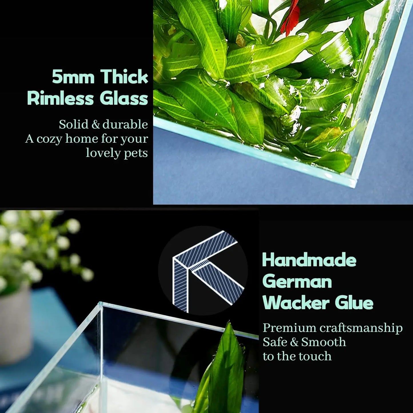 Rimless Glass Betta Aquarium With Cover Feeding Ring Cleaning Tools