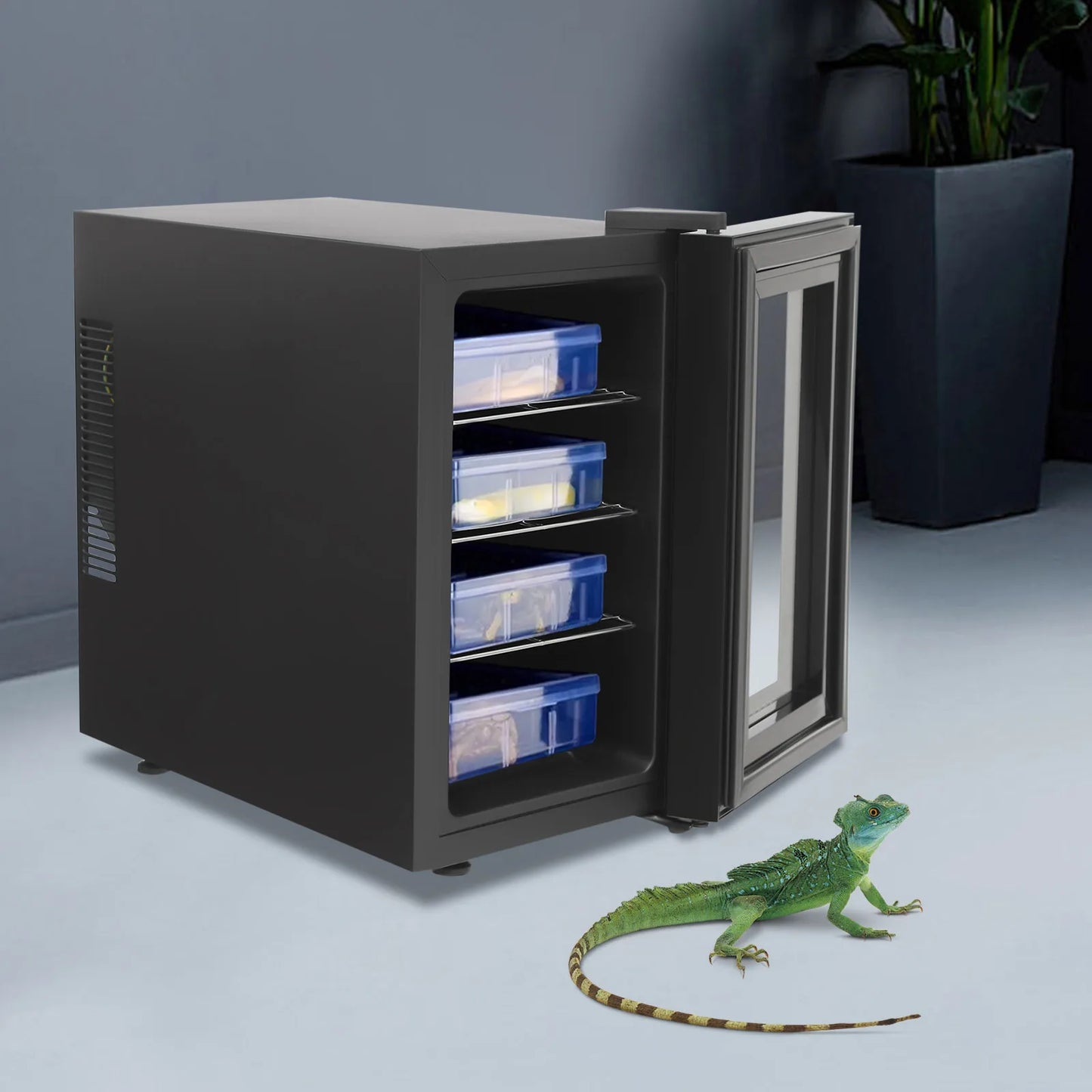 23L Reptile Incubator With Adjustable Temperature Humidity