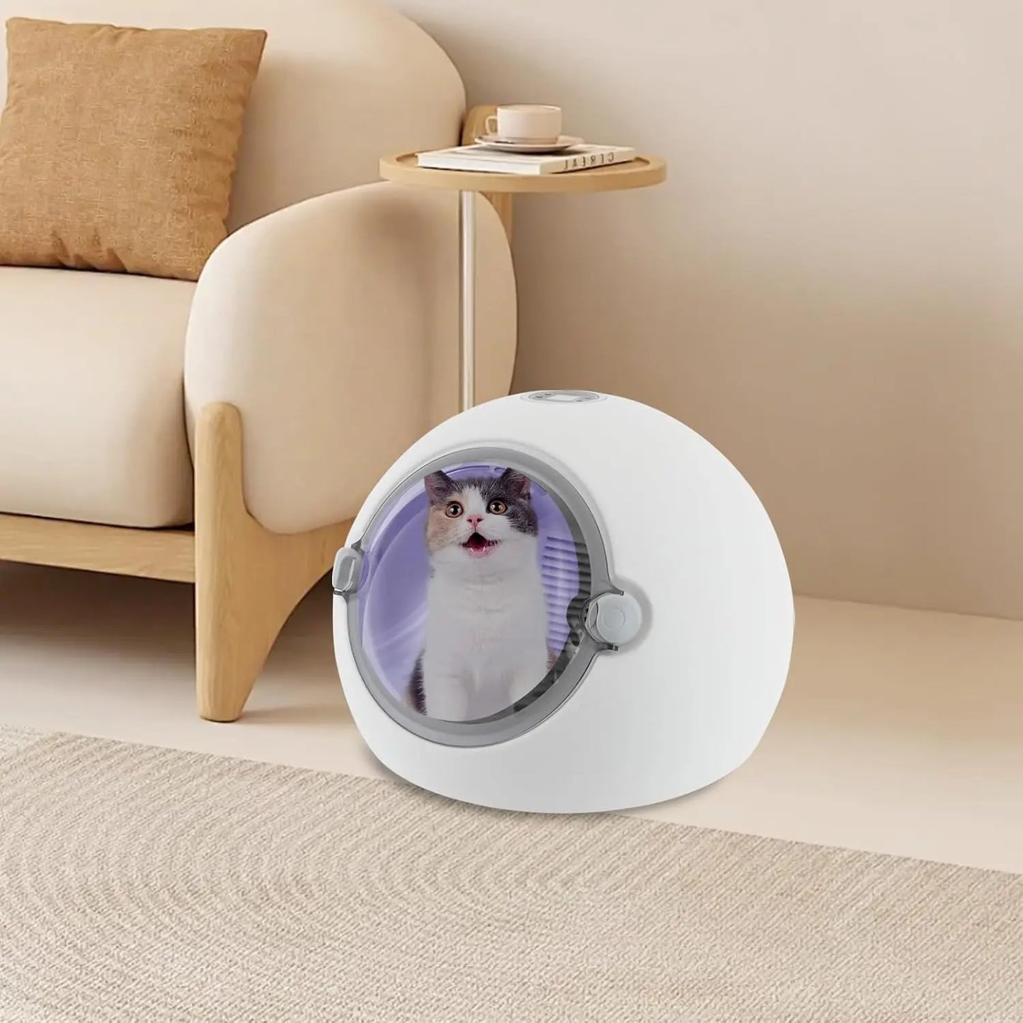 Automatic Pet Dryer Portable Cat Dryer Box With Temperature Control