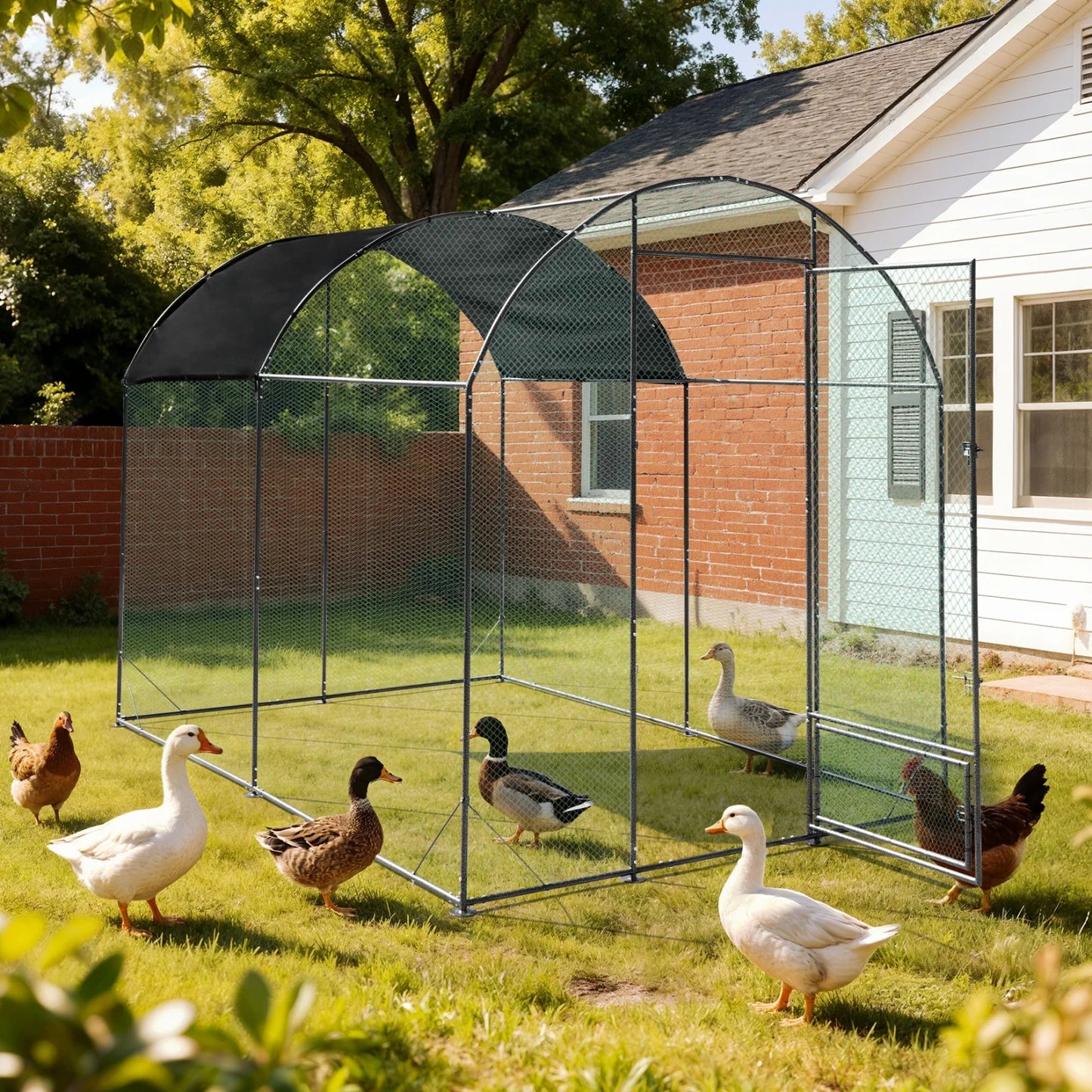 BINGOPAW Metal Walk In Chicken Coop For Backyard Farm