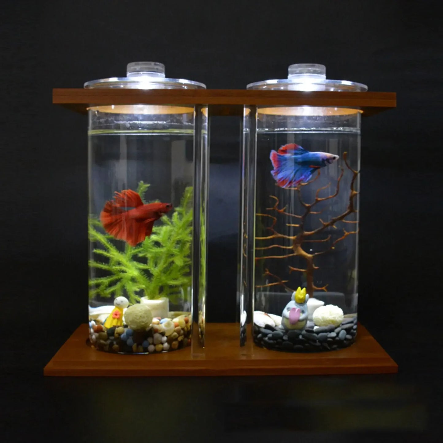 Glass Betta Tank With LED Light Bamboo Base Two Tank