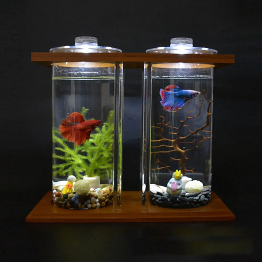 Glass Betta Tank With LED Light Bamboo Base Two Tanks