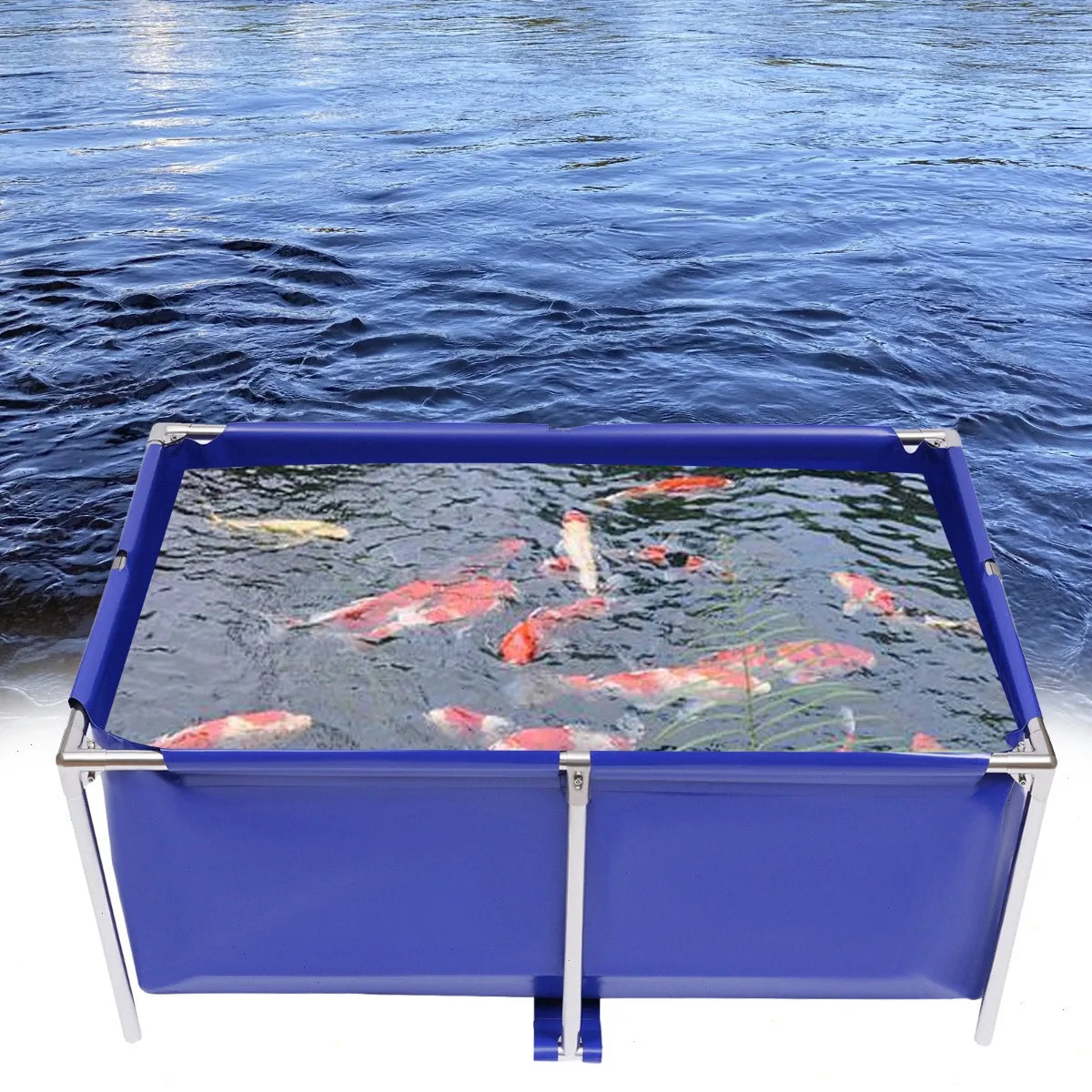 Leakproof Stainless Steel Frame Hydroponic Breeding Pond