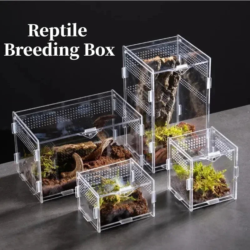 Acrylic Reptile Habitat Terrarium Box Enclosure For Tarantulas