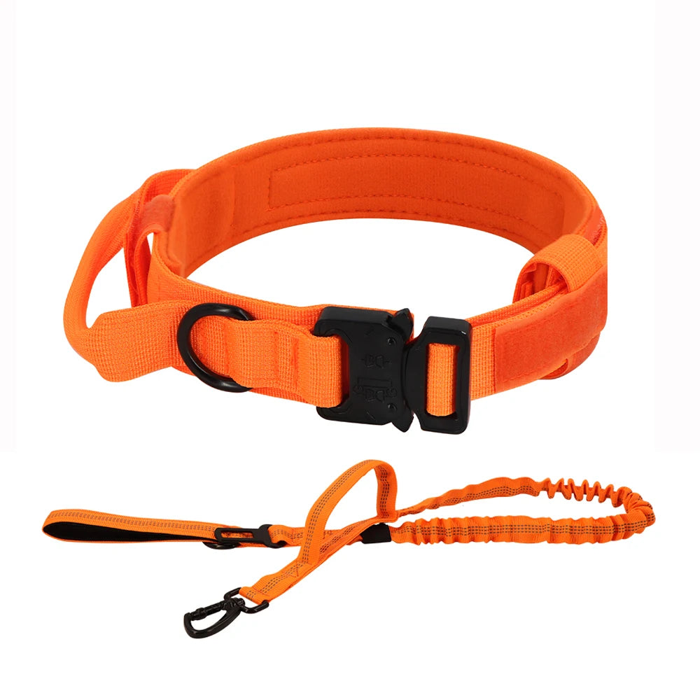 PETRAVEL Adjustable Dog Training Collar With Control Handle