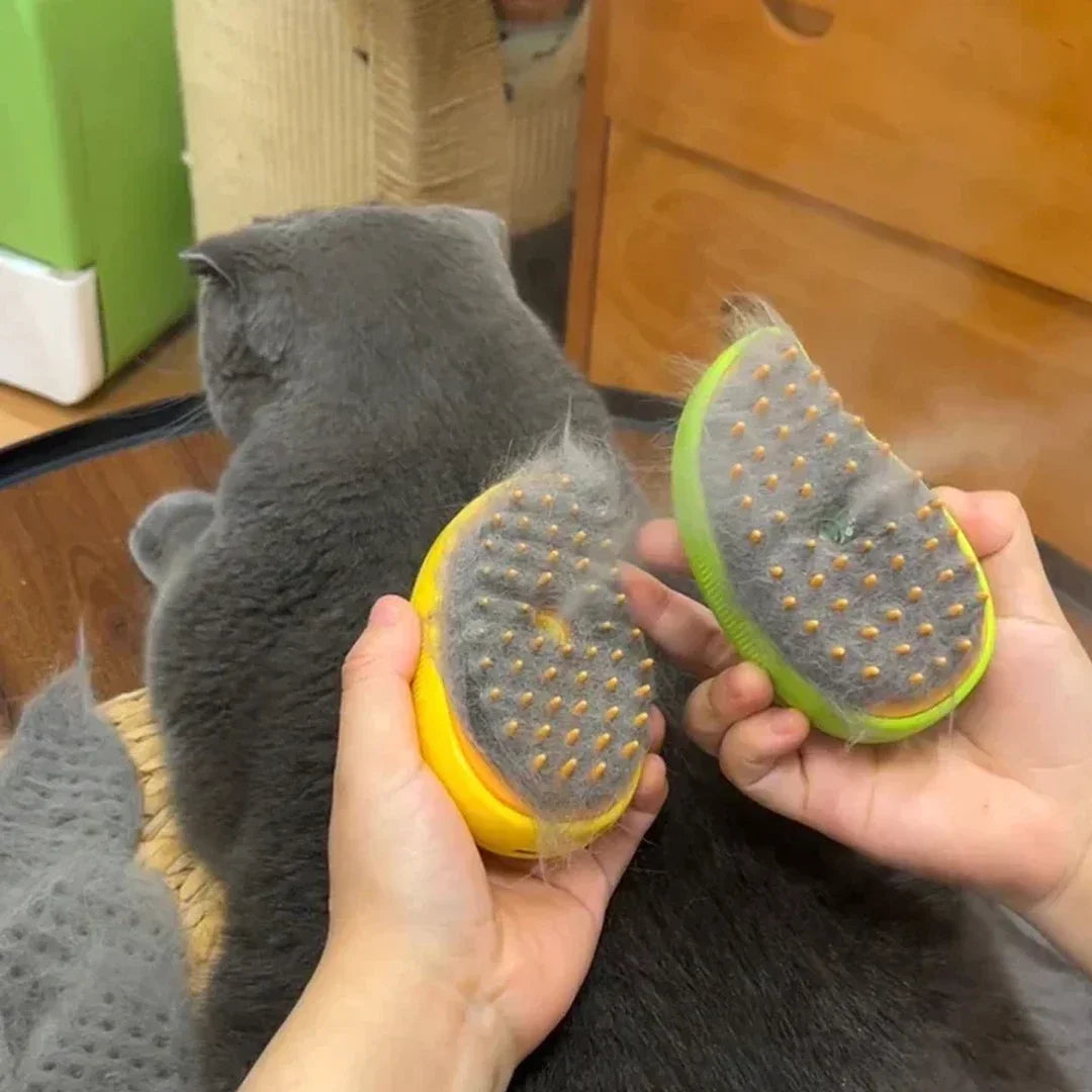 Cat Dog Steamy Brush 3 In 1 Electric Grooming Tool