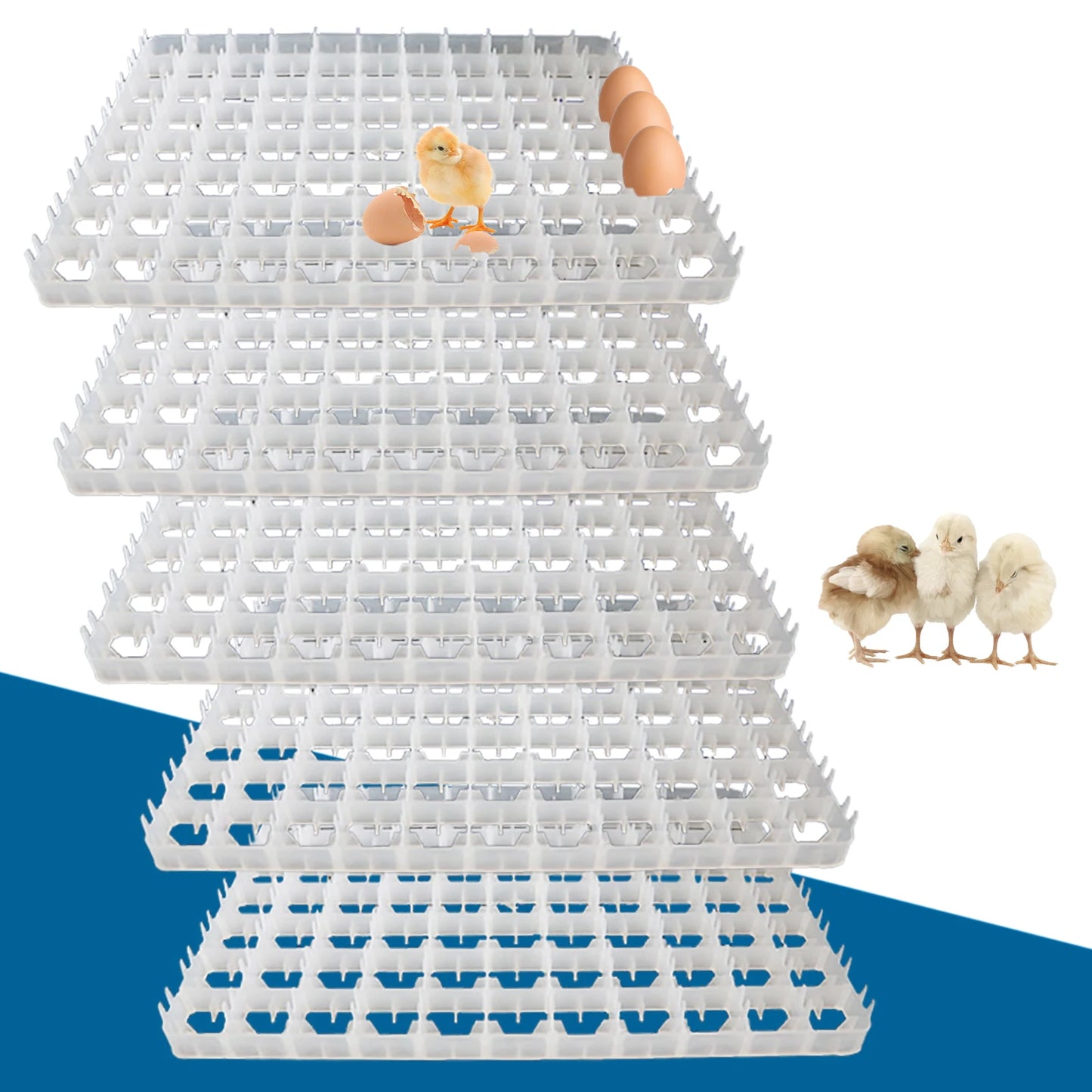 LoyalHeartdy 5 Piece Egg Turning Tray For Incubator