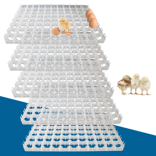 LoyalHeartdy 5 Piece Egg Turning Tray For Incubator