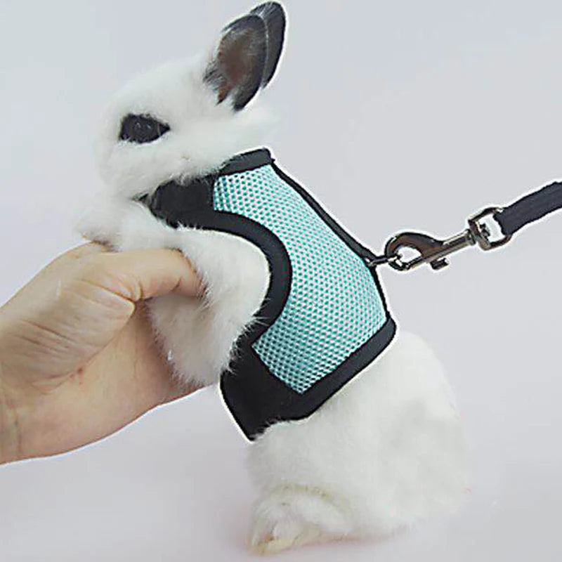Summer Breathable Mesh Harness for Guinea Pigs, Rabbits, Ferrets