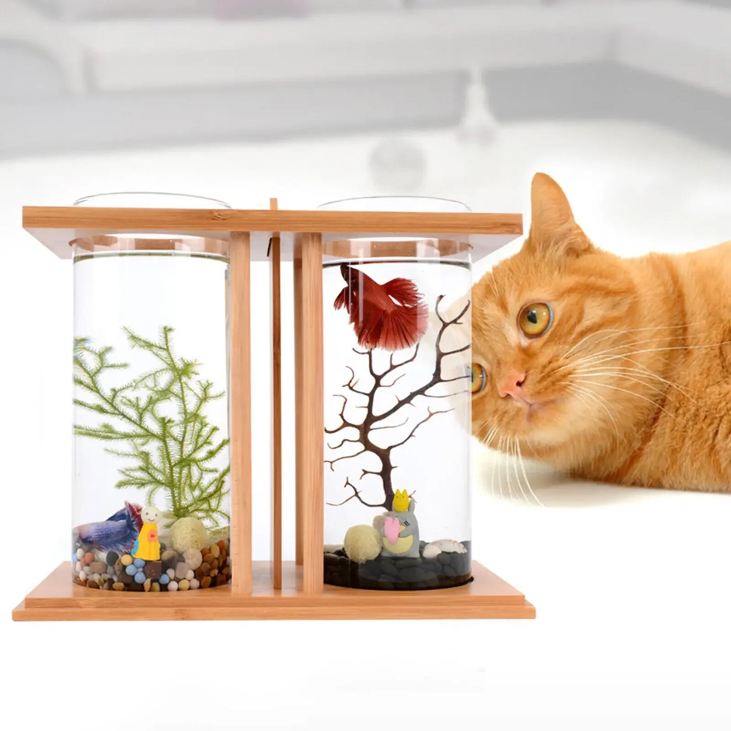 Glass Betta Tank With LED Light Bamboo Base Two Tank