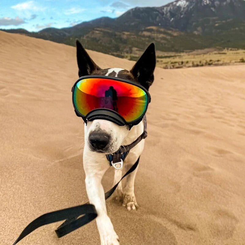 PETRAVEL Dog Goggles UV Protection Glasses for Travel