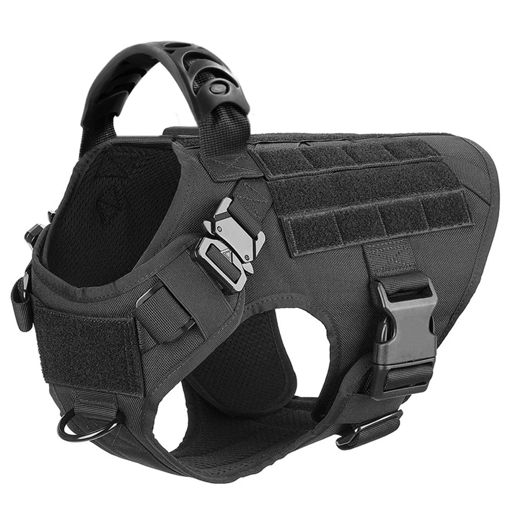 Petravel CN Dog Harness And Leash Set For Training