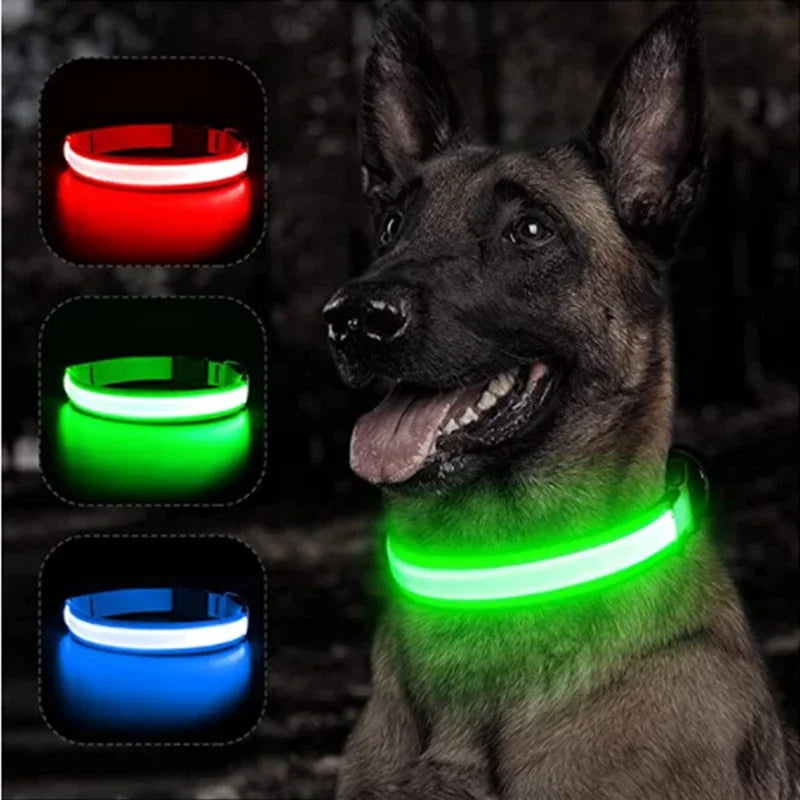 USB Charging Glowing Dog Collar With Pendant Detachable LED Light