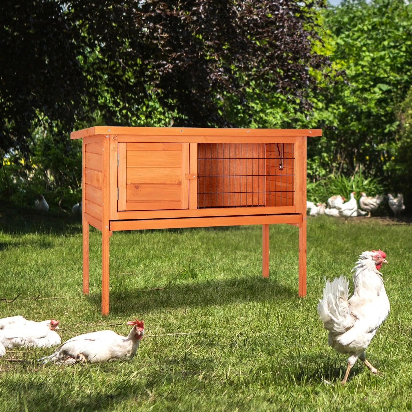 Wooden Chicken Coop With Removable Sliding Tray And Outdoor Run