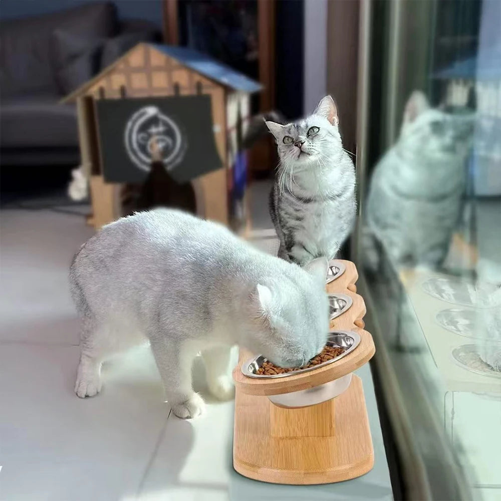 PETRAVEL Cat 3 Bowls In One Feeder Raised Stainless Steel