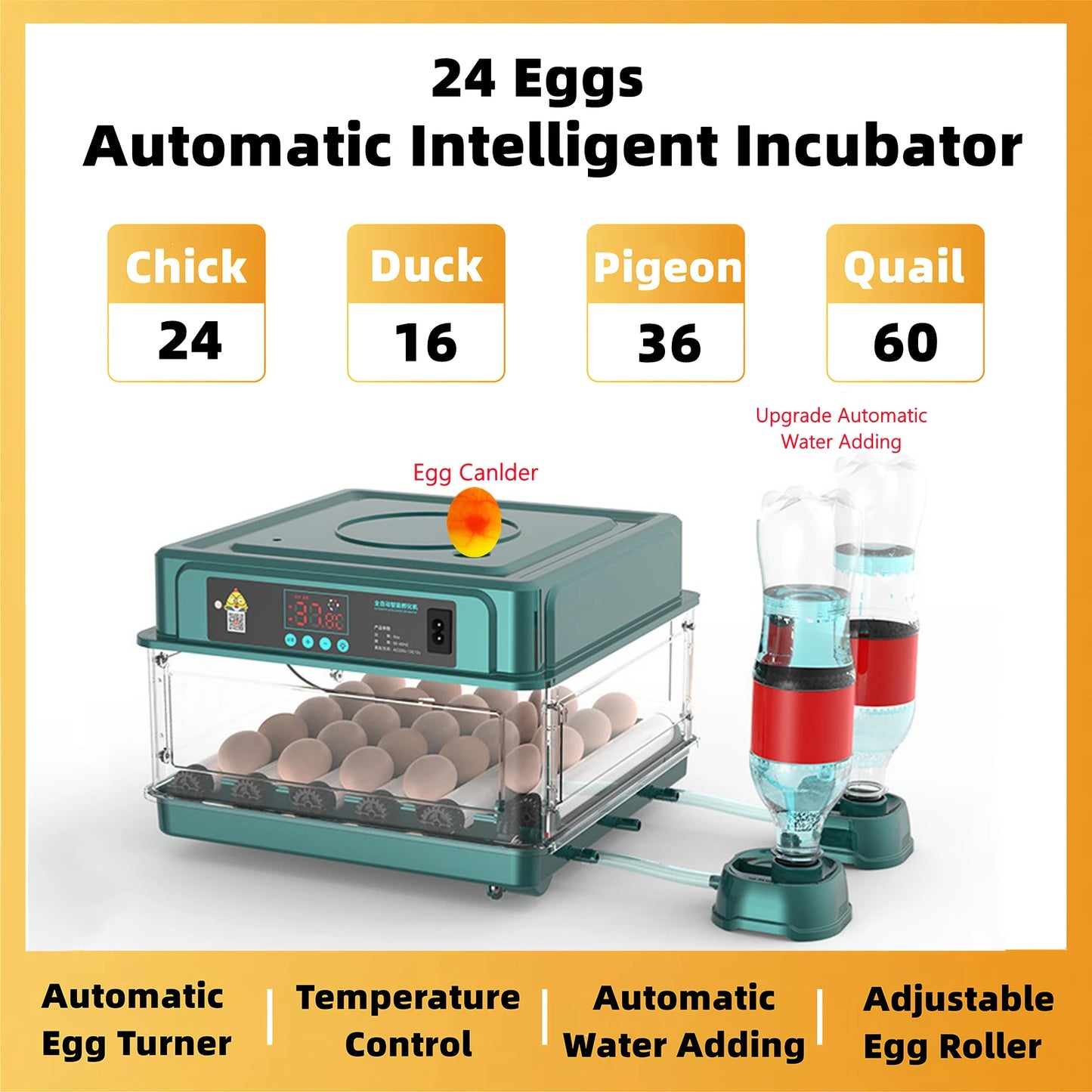 Egg Automatic Incubator For 24-60 Eggs Hatching Poultry