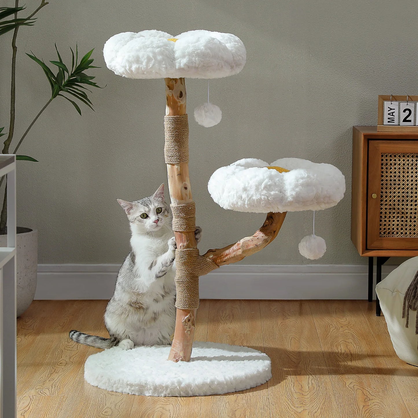 PEQULTI Solid Wood Cat Tree With Condo And Perches