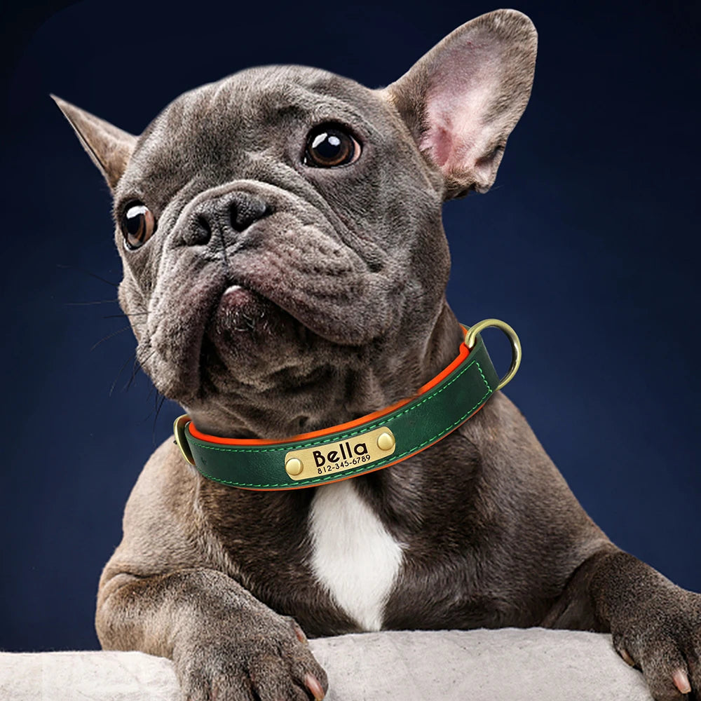 Didog PU Leather Nameplate Dog Collar With Engraving