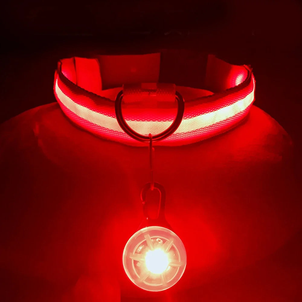 USB Charging Glowing Dog Collar With Pendant Detachable LED Light