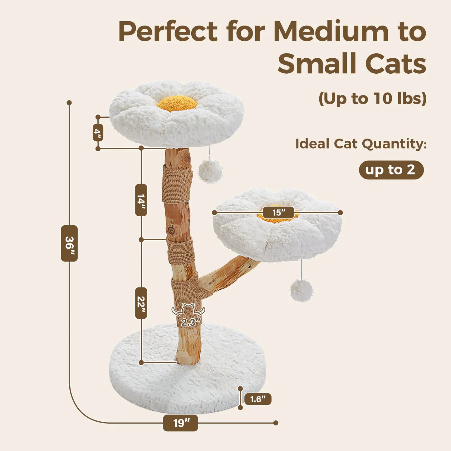 PEQULTI Solid Wood Cat Tree With Condo And Perches