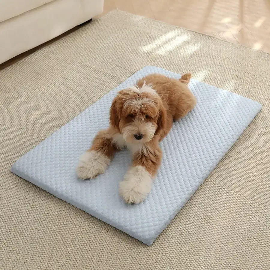 Cooling Cat Bed With Sponge Padding, Non Slip And Washable