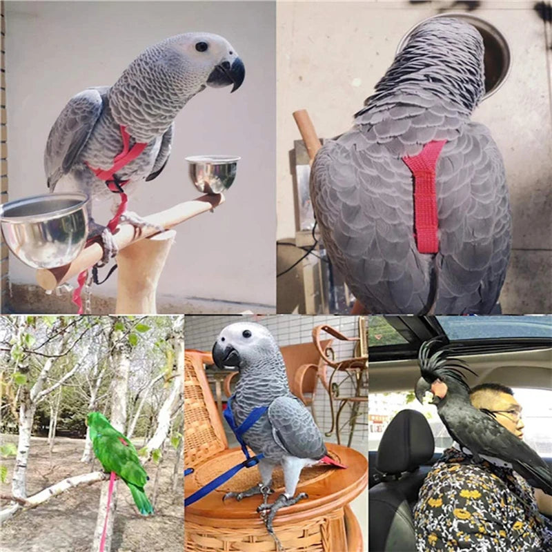 Parrot Bird Harness Leash Flying Traction Rope For Small Parakeets