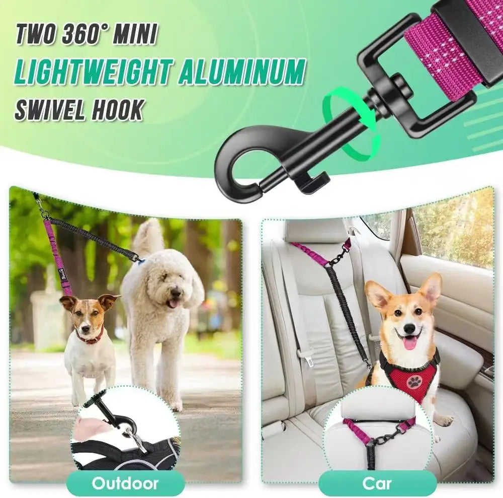Dual Dog Leash Attachment for Training With Shock Absorbing Bungee