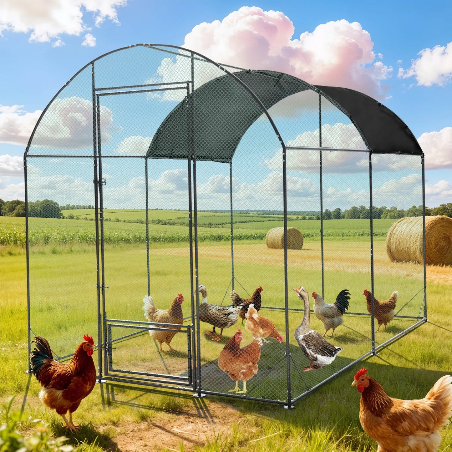 BINGOPAW Metal Walk In Chicken Coop For Backyard Farm