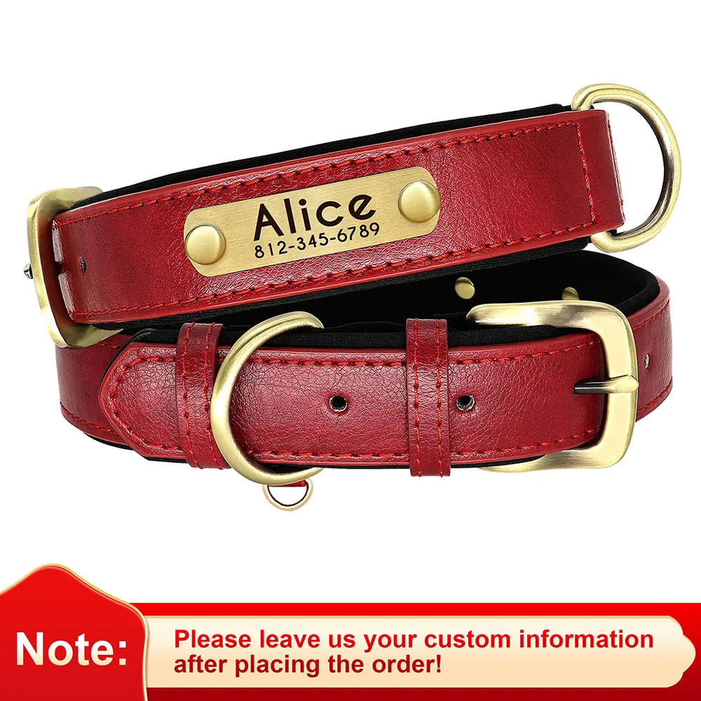 Didog PU Leather Nameplate Dog Collar With Engraving