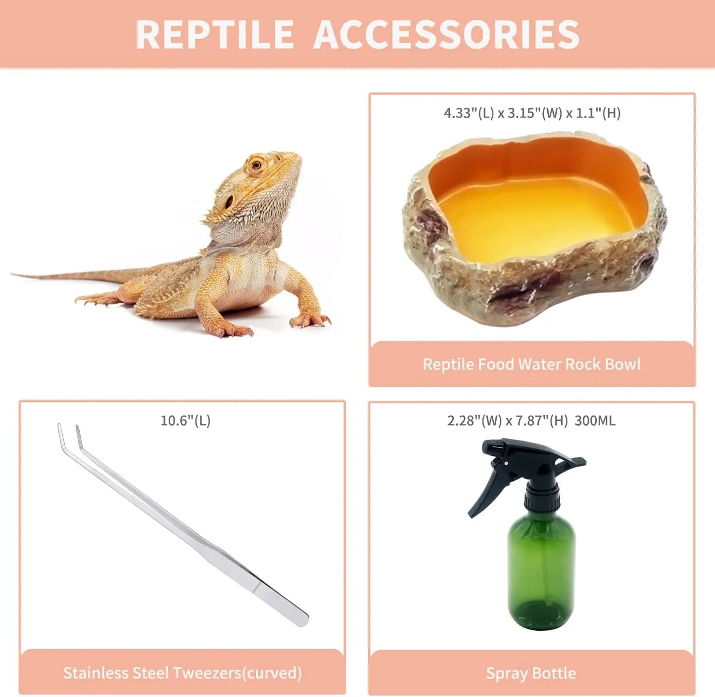 Reptile Terrarium Kit With Accessories For Small Pets
