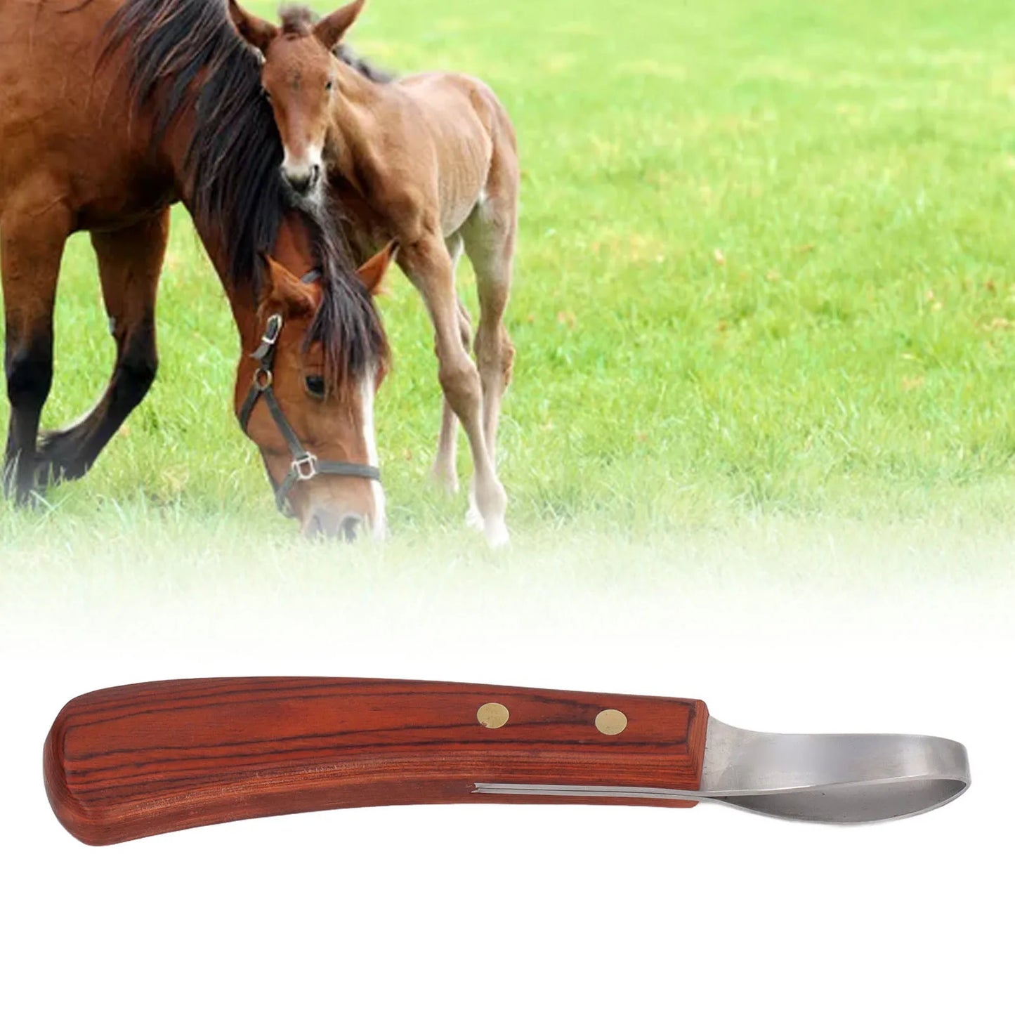 Horse Hoof Trimmer Shears Stainless Steel Blade Rubber Wood Handle