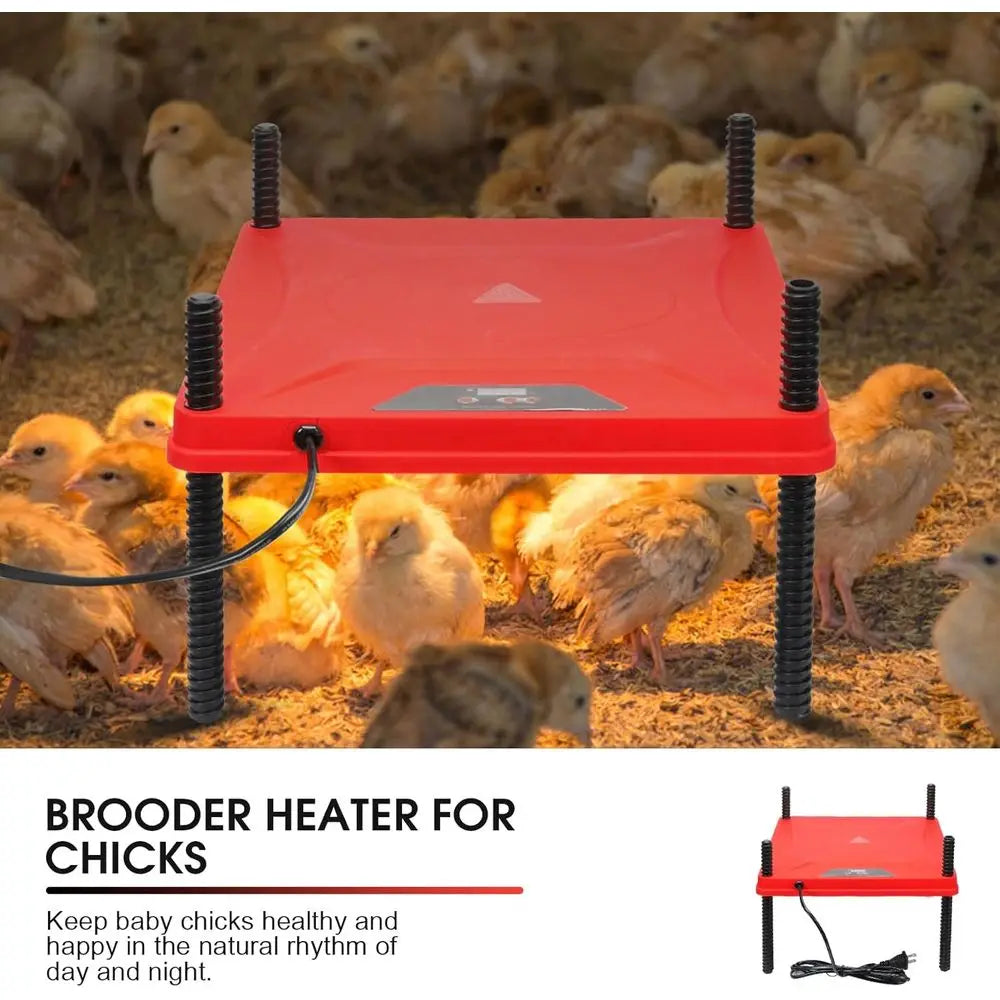 Chick Brooder Box Starter Kit With Heating Plate Perch