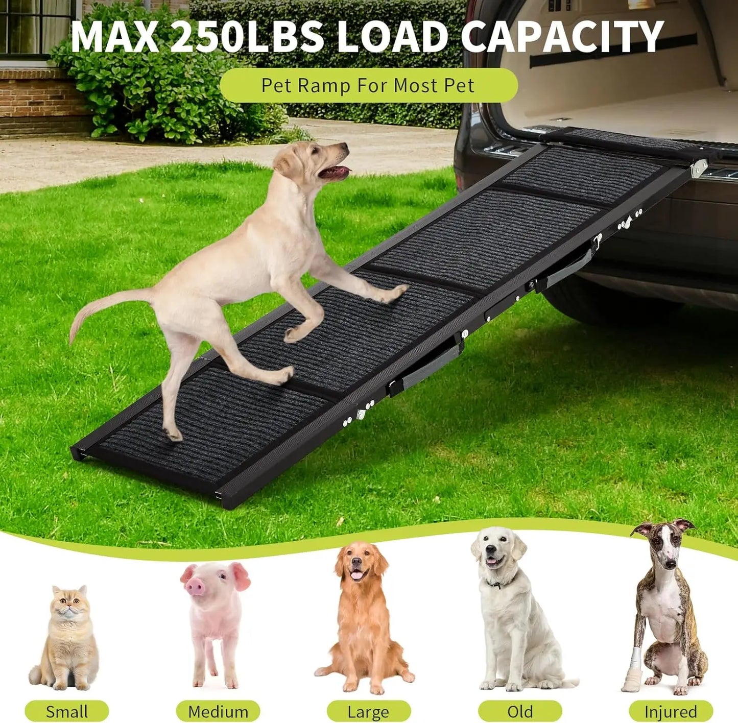 TWISTER.CK Dog Ramp for SUVs Quad-Fold Non-Slip Portable Ramp