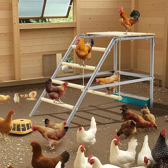 Chicken Coop Perch With Ladder Design And Weatherproof Roosting Bars