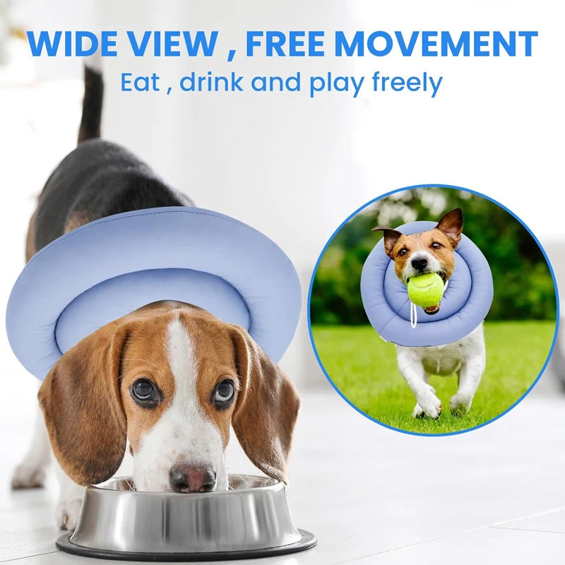 Elizabeth Adjustable Pet Recovery Collar For Dogs And Cats