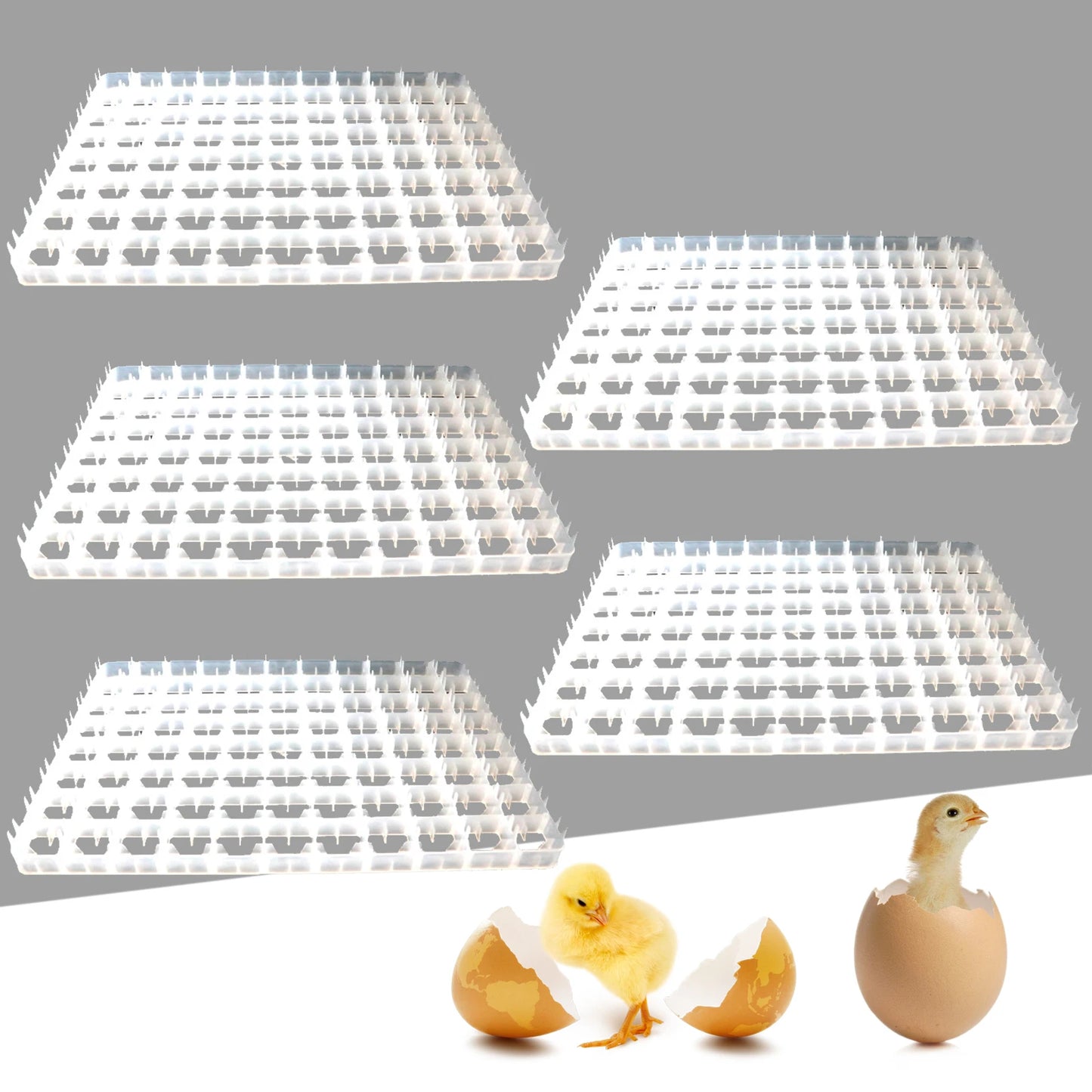LoyalHeartdy 5 Piece Egg Turning Tray For Incubator
