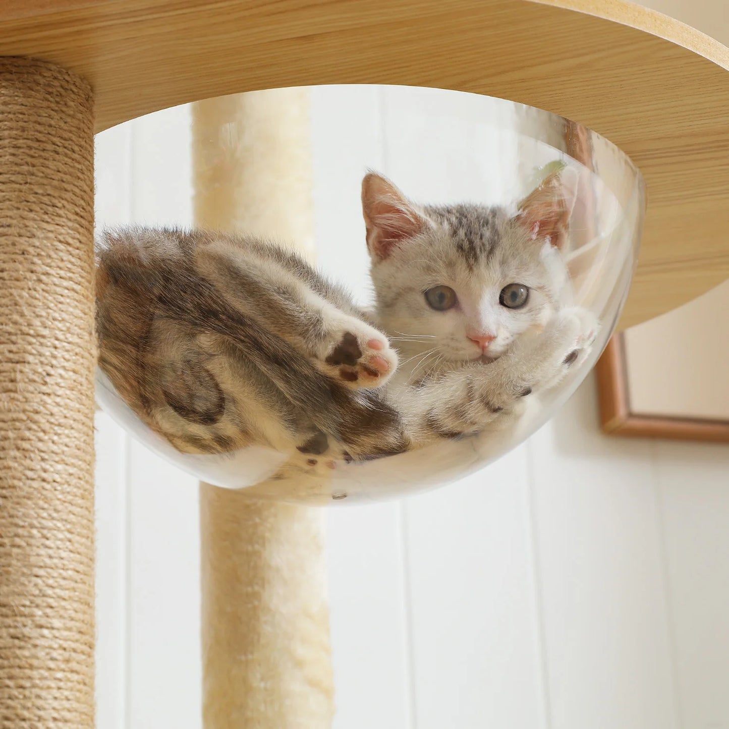 Multi-Level Cat Tree Indoor Wood Cat Tower With Scratching Posts