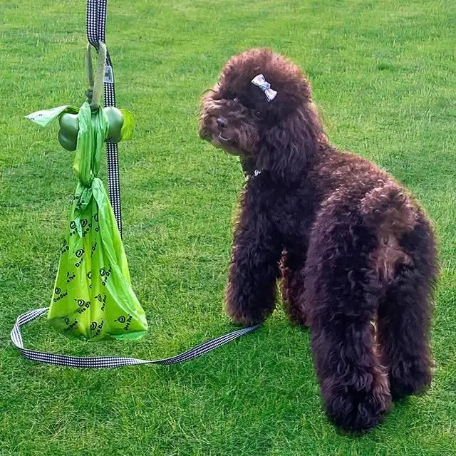 Extra Thick Leak Proof Dog Poop Bags With Handles Rolls