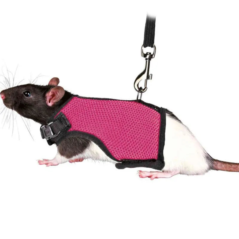 Summer Breathable Mesh Harness for Guinea Pigs, Rabbits, Ferrets