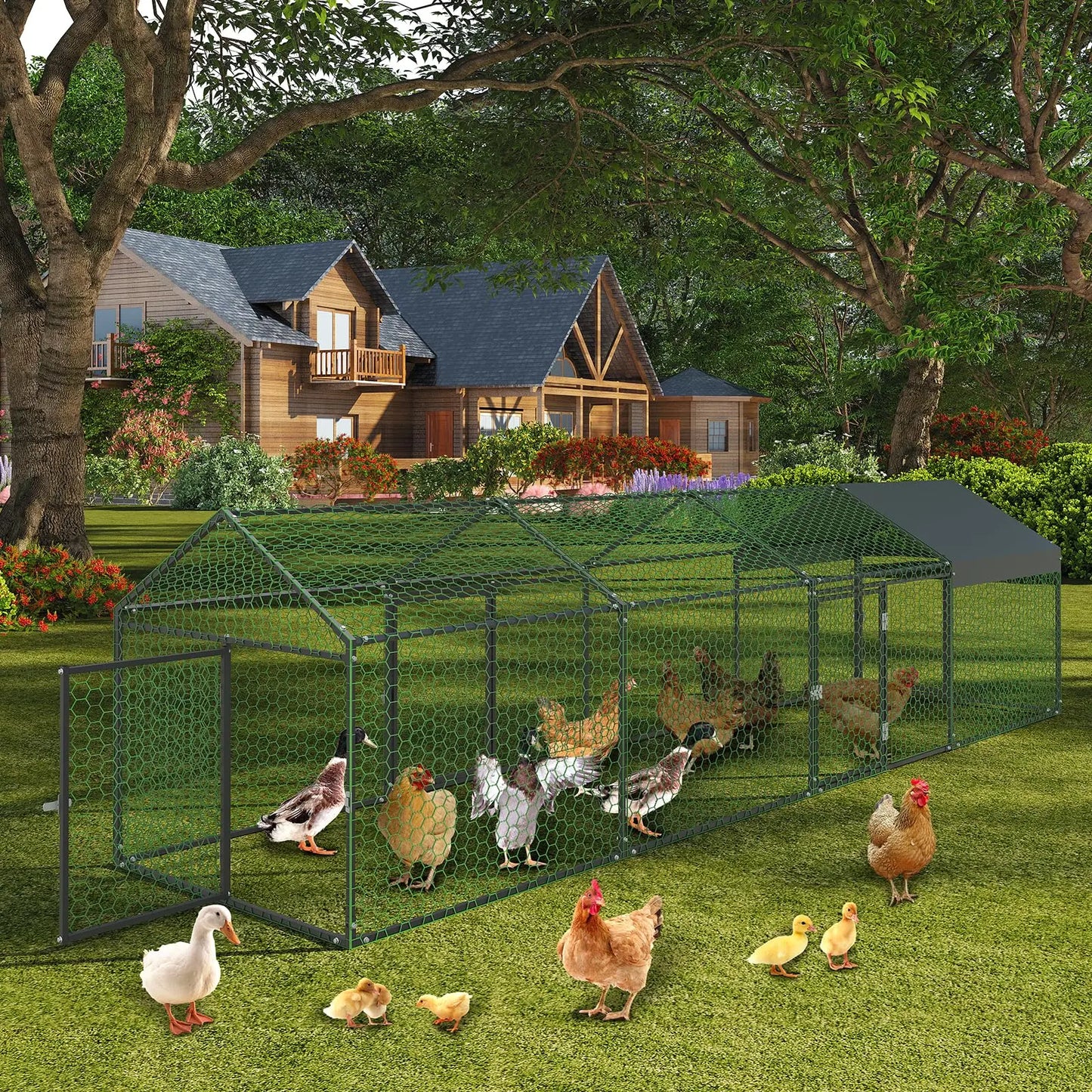 HiMISS Heavy Duty Walk In Metal Chicken Coop With Doors