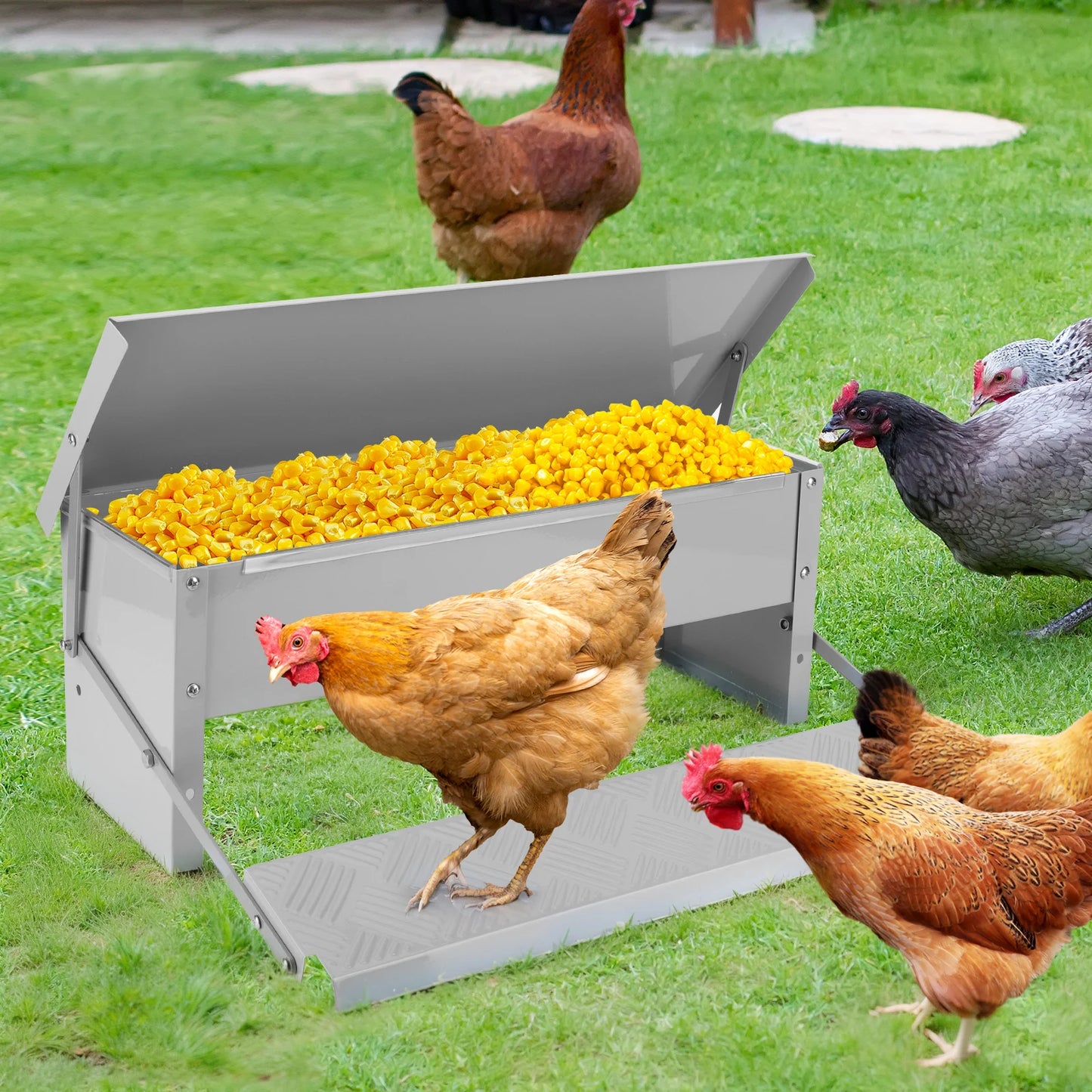 Automatic Chicken Feeder No Waste Treadle 11lb Stainless Steel Poultry Feeder with Weatherproof Lid for Chicken Pheasants Ducks
