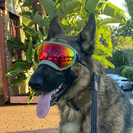 PETRAVEL Dog Goggles UV Protection Glasses for Travel