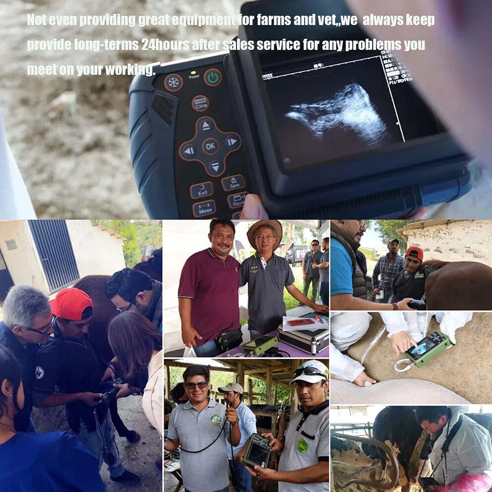 DAWEI Portable Veterinary Ultrasound Scanner For Pregnancy Testing